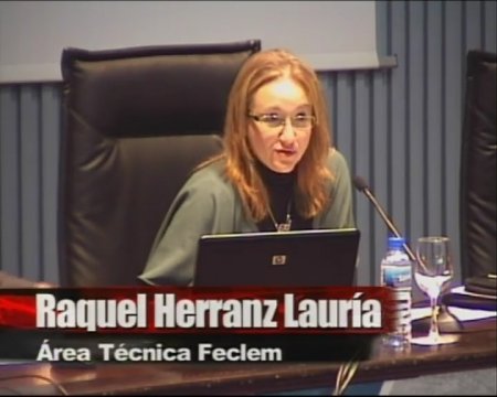 O exercicio de medidas de protecci&oacute;n para persoas con discapacidade desde instituci&oacute;ns tutelares II